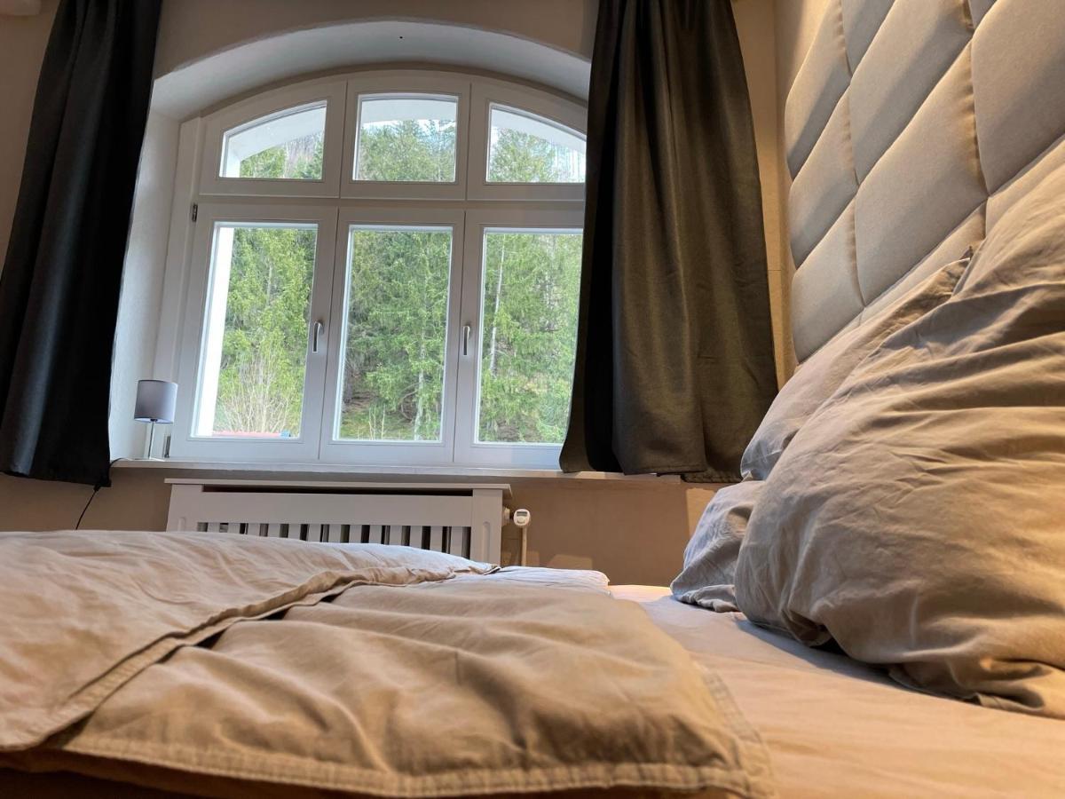 Bergrauschen - Waldloft - Preise Inklusive Waesche Apartment Goslar Ngoại thất bức ảnh