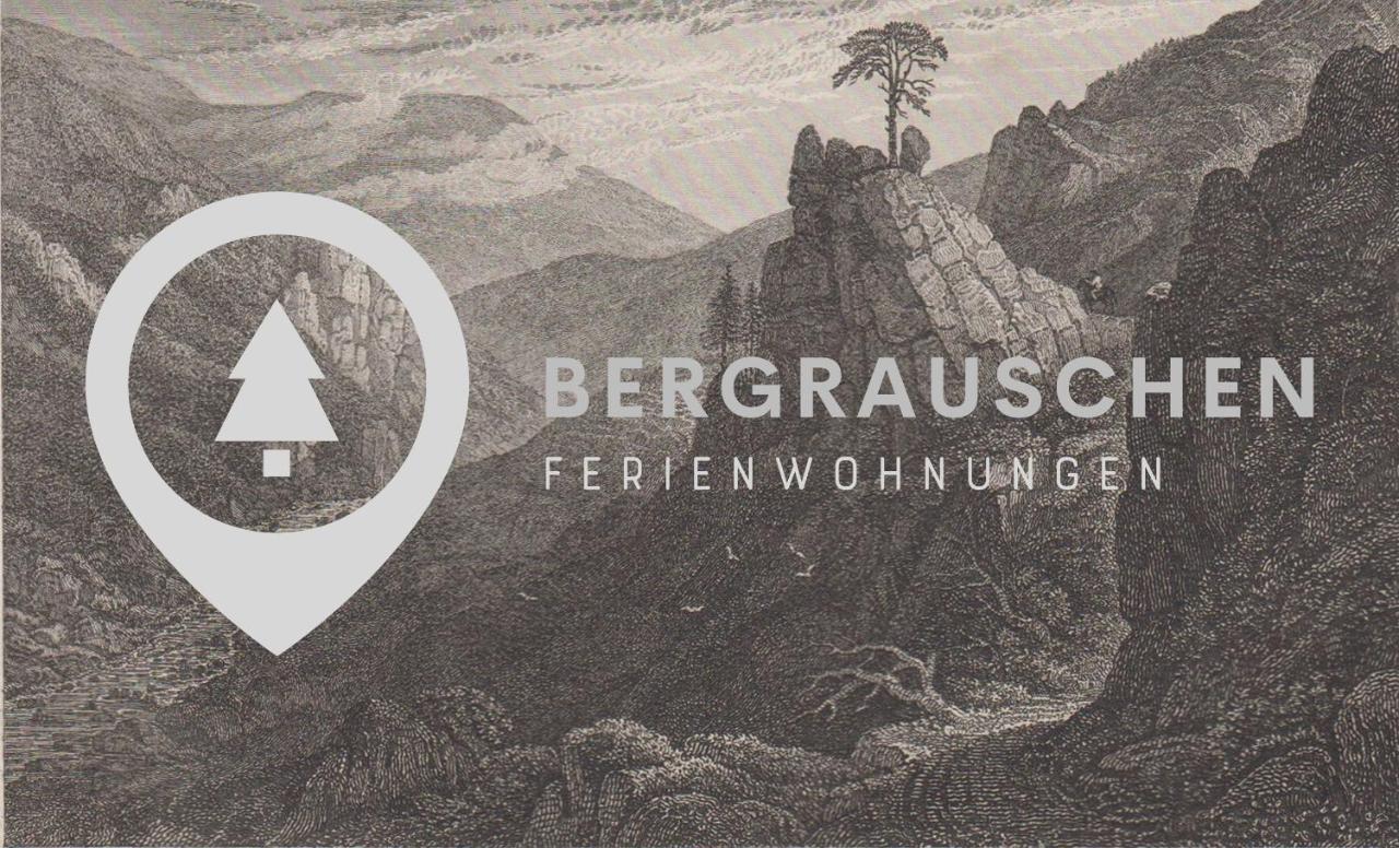 Bergrauschen - Waldloft - Preise Inklusive Waesche Apartment Goslar Ngoại thất bức ảnh