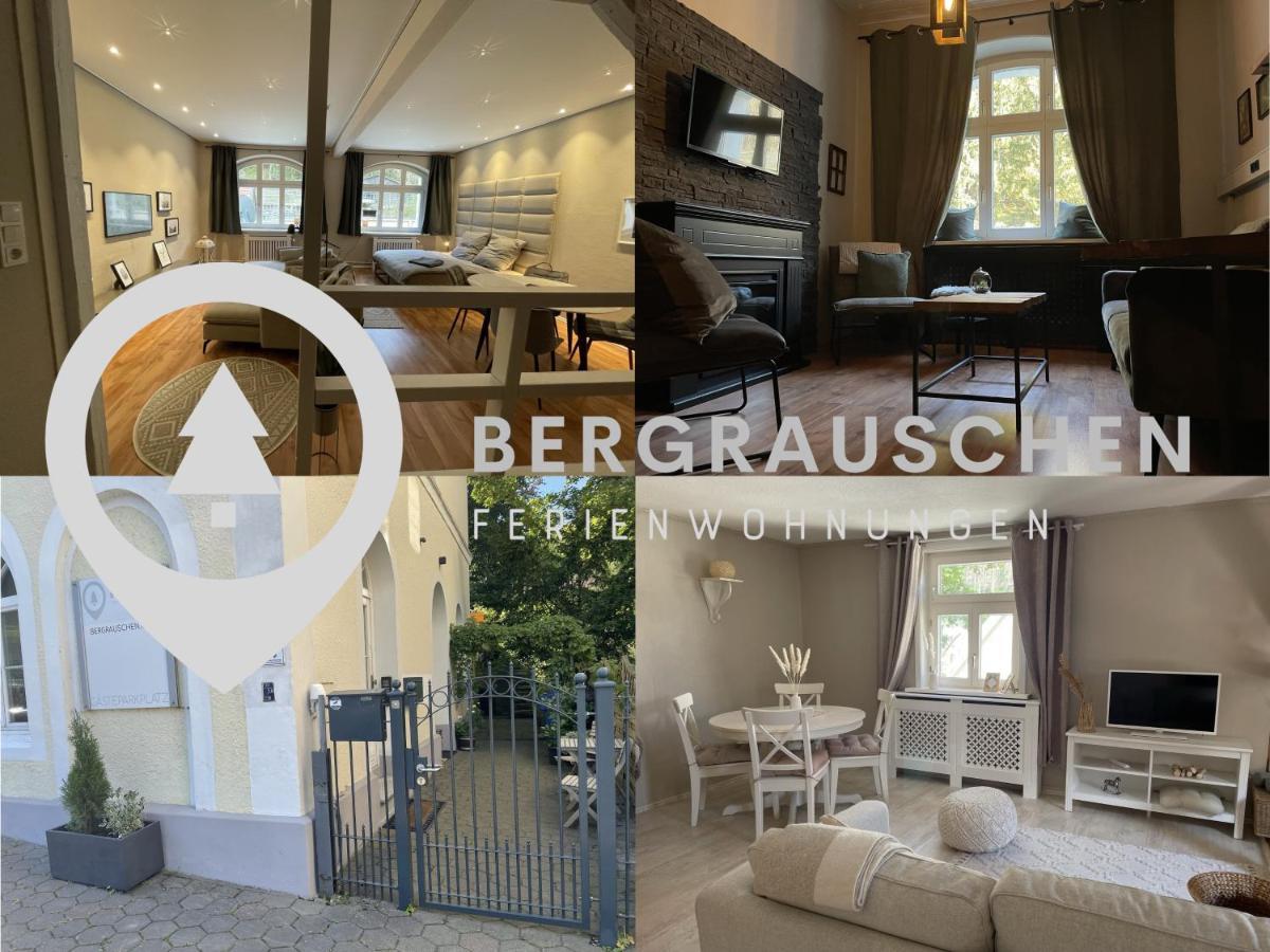 Bergrauschen - Waldloft - Preise Inklusive Waesche Apartment Goslar Ngoại thất bức ảnh